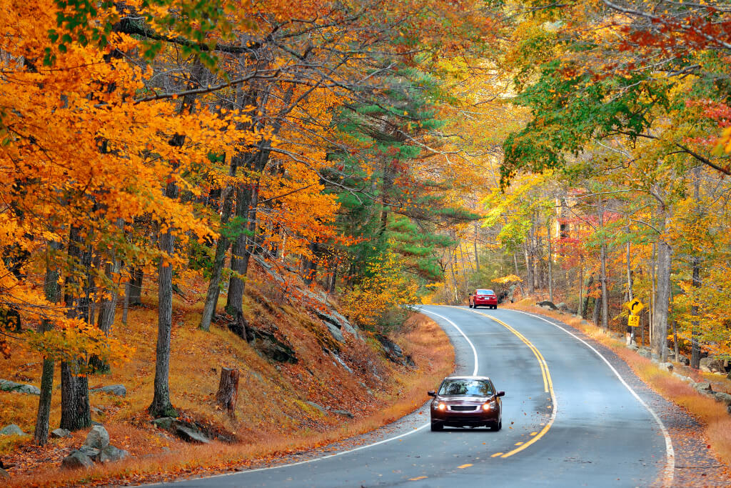 The windshield and autumn: how to keep it clean?