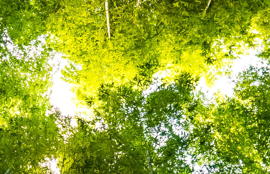 Ralarsa, synonym of sustainability